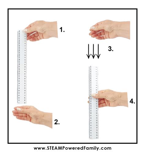 ruler drop reaction time test